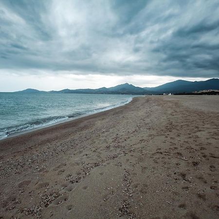 Studio Les Pieds Dans L'Eau Argeles Sur Mer ภายนอก รูปภาพ