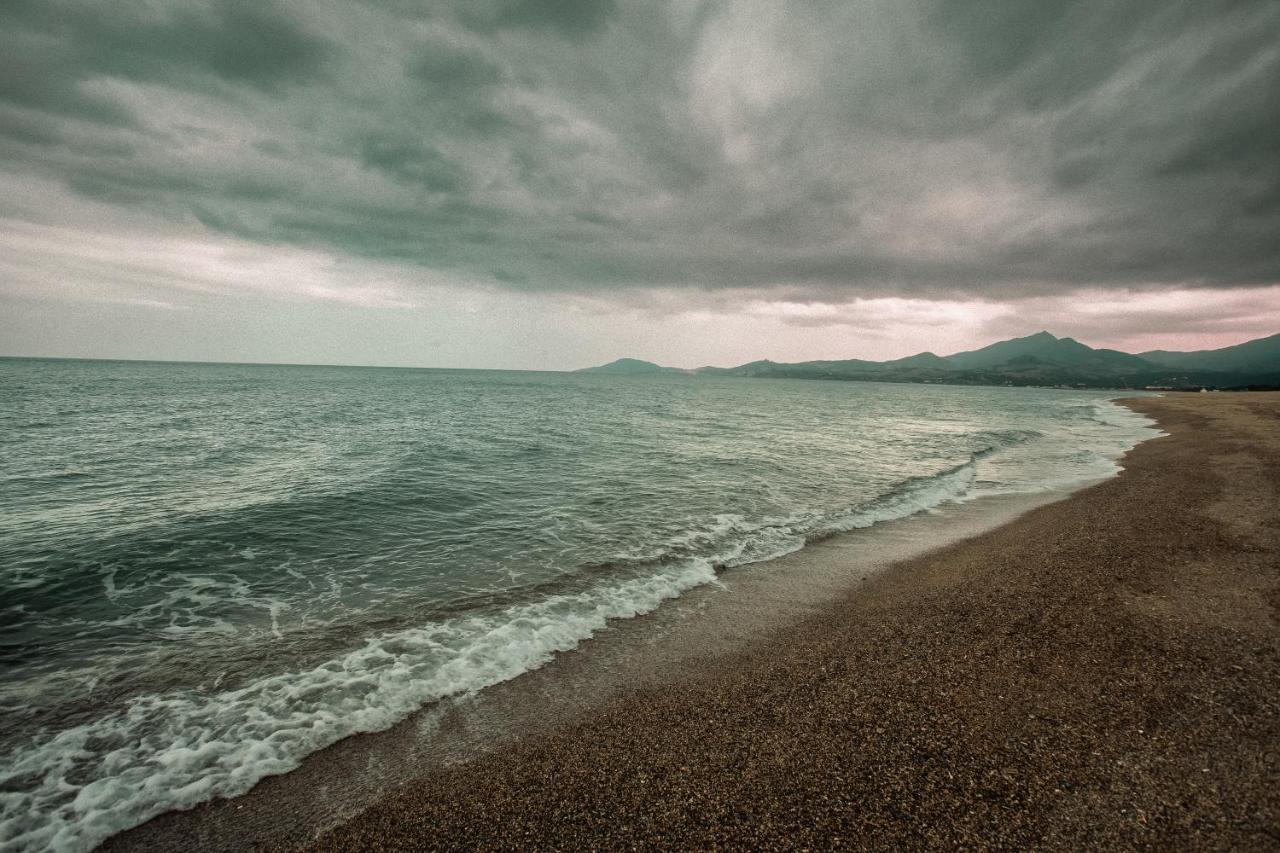 Studio Les Pieds Dans L'Eau Argeles Sur Mer ภายนอก รูปภาพ
